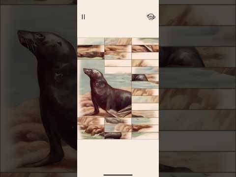 A ARTE DA FAUNA GamePlay