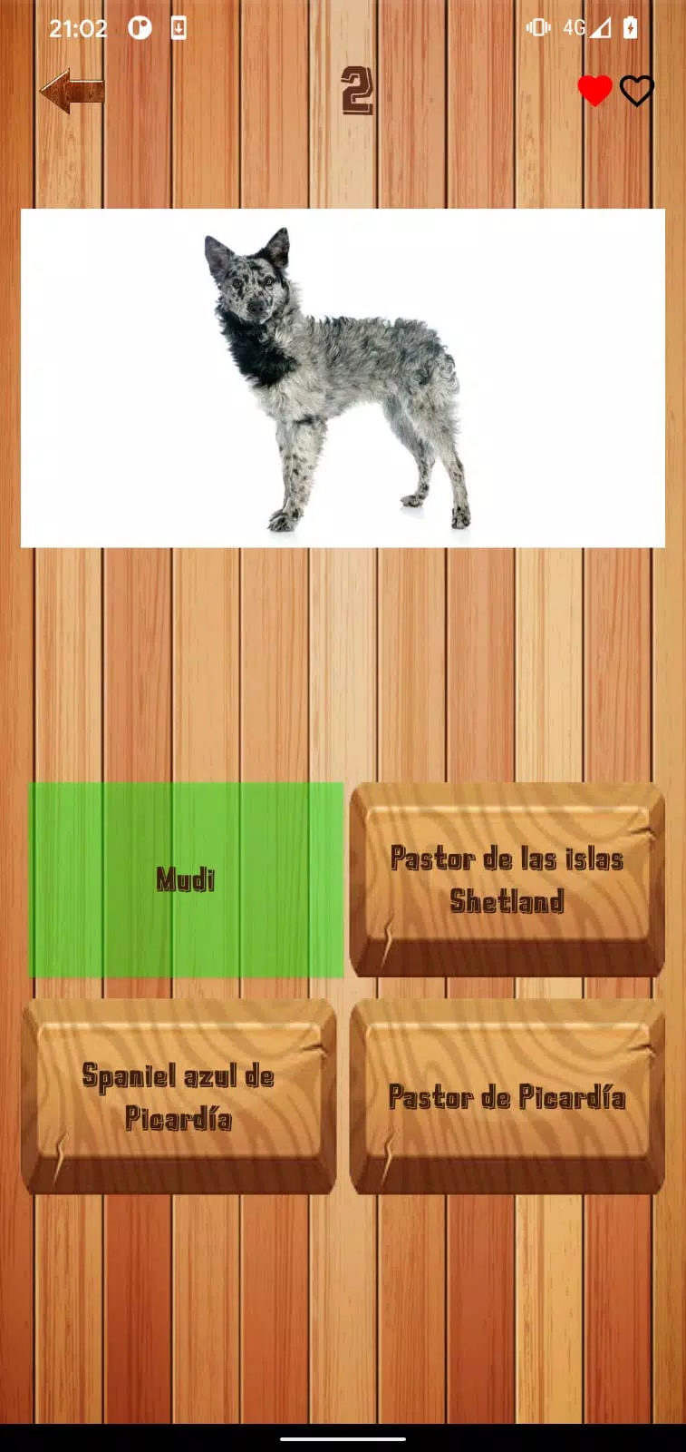 Guess dog breed スクリーンショット 2