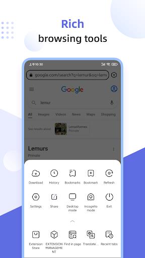 Lemur Browser - extensions स्क्रीनशॉट 4