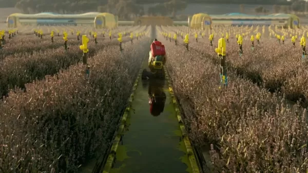 马拉松F2P谣言被驱散，今年夏天宣布的定价