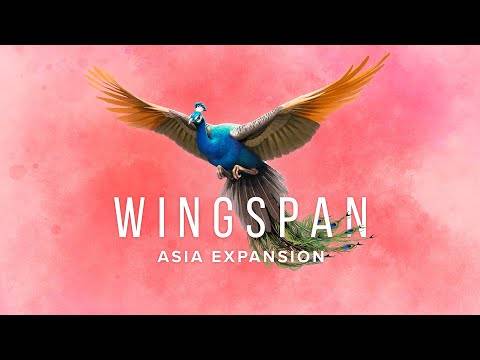 Expansão da envergadura da envergadura da Ásia