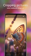 Butterfly Wallpapers 4K স্ক্রিনশট 4