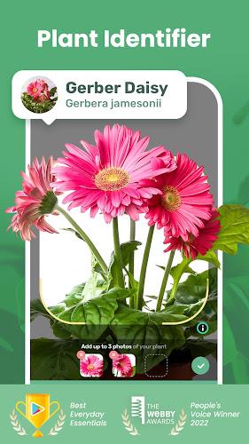Blossom - Plant Identifier Tangkapan skrin 1