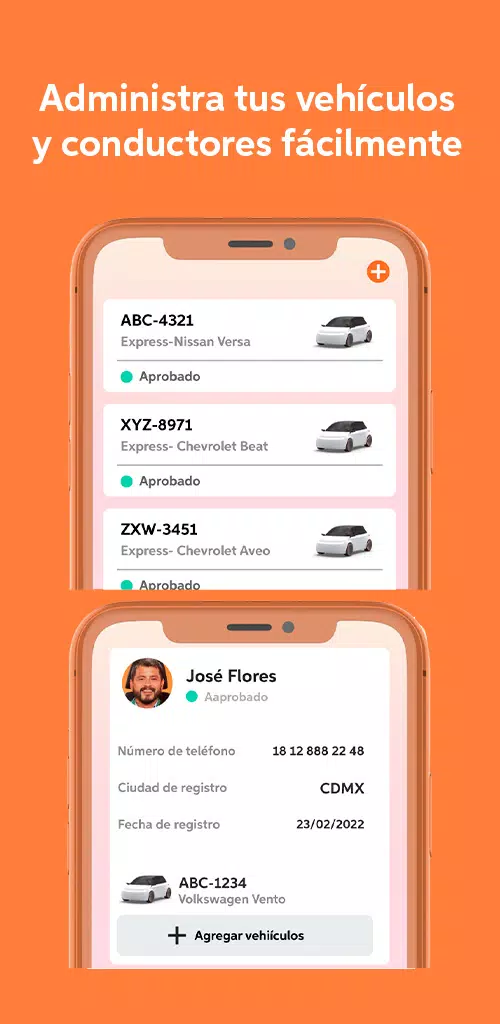 DiDi Fleet Captura de tela 3