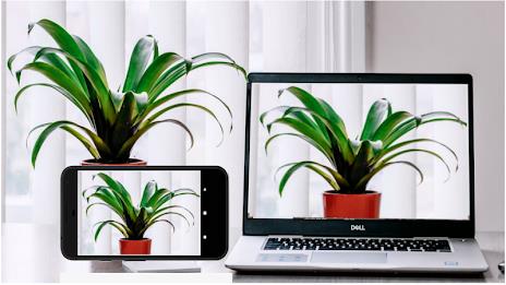 Iriun 4K Webcam for PC and Mac スクリーンショット 2