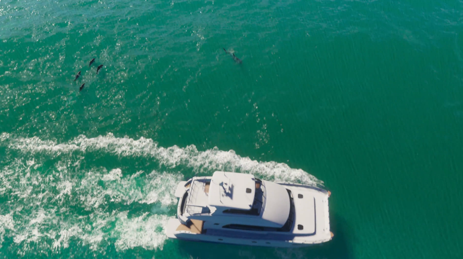 GTA 6 Trailer Details