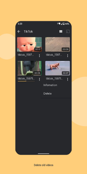 TPLAYER - TODO VÍDEO DE FORMAT