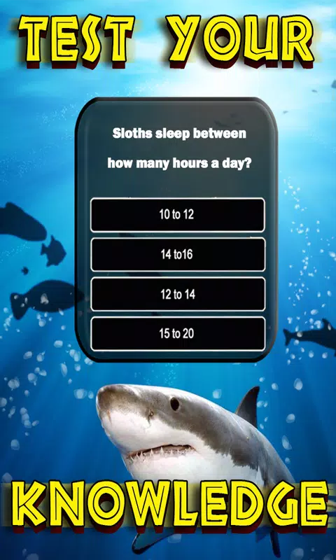 Animals Quiz スクリーンショット 2