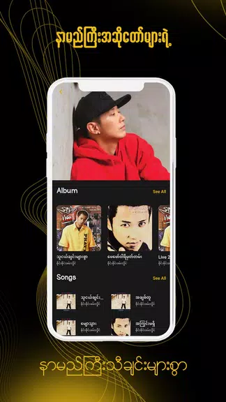 ရွှေနားဆင် Myanmar Audio Books Ekran Görüntüsü 4