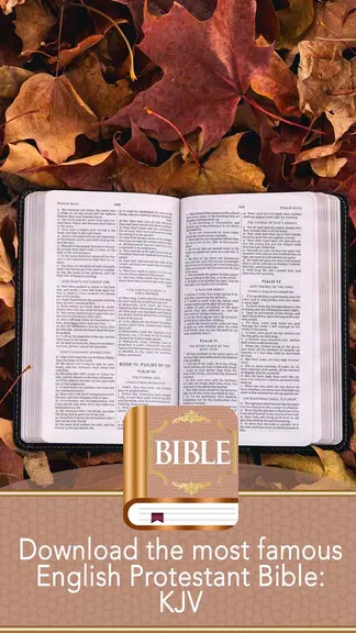 KJV Bible স্ক্রিনশট 3