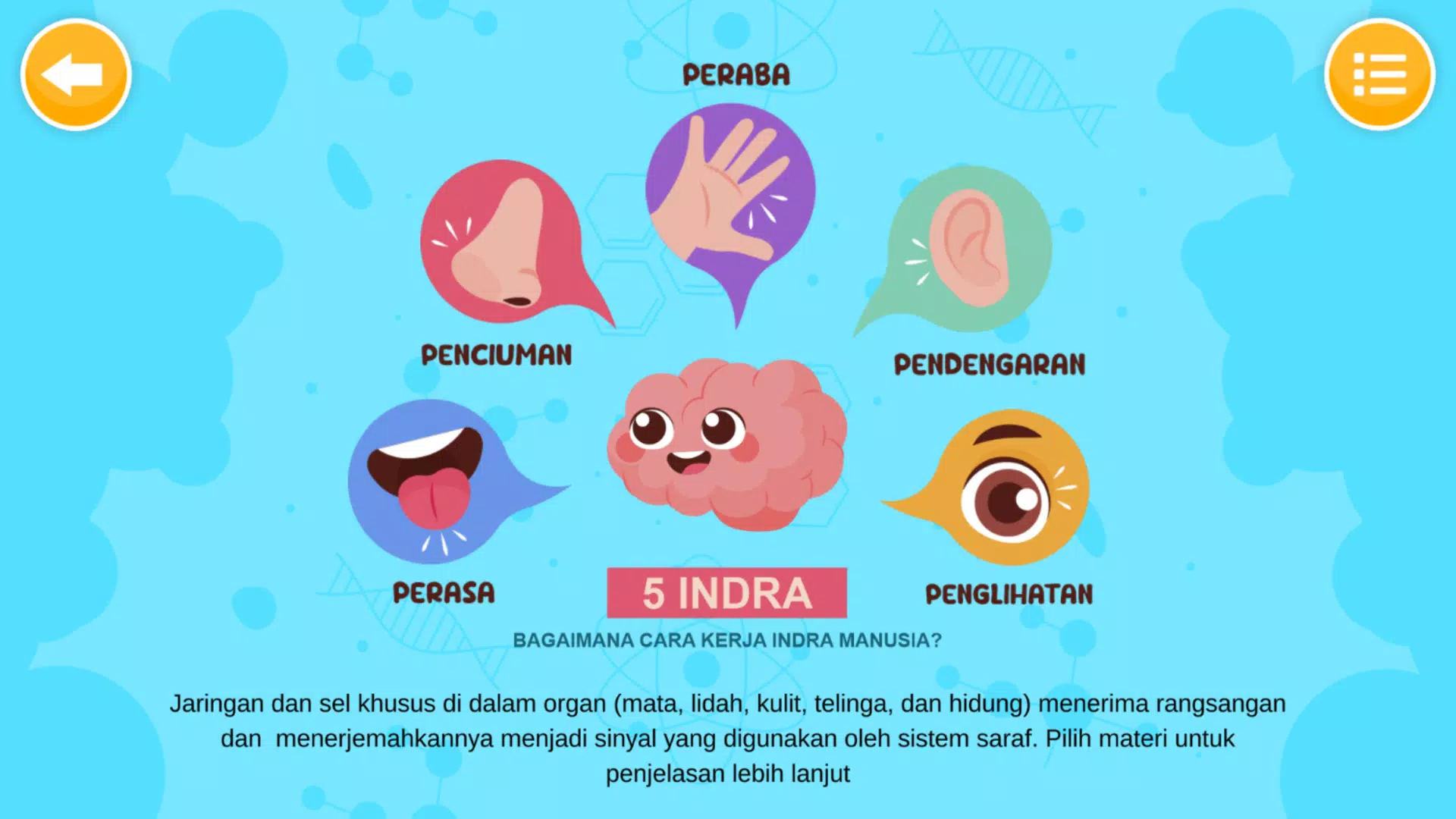 Sistem Indra Manusia Ekran Görüntüsü 2