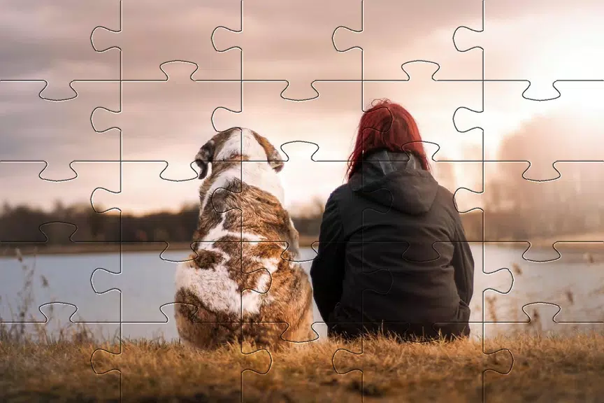 Jigsaw puzzle without internet Скриншот 4
