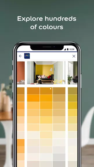 Dulux Visualizer PK 스크린샷 2