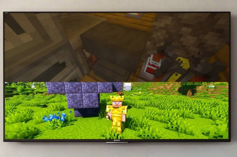 SplitScreen no Minecraft