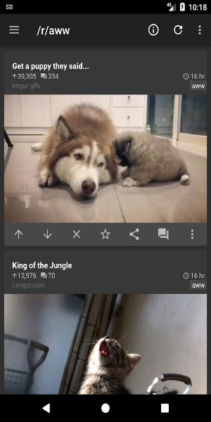 rif is fun for Reddit Schermafbeelding 3