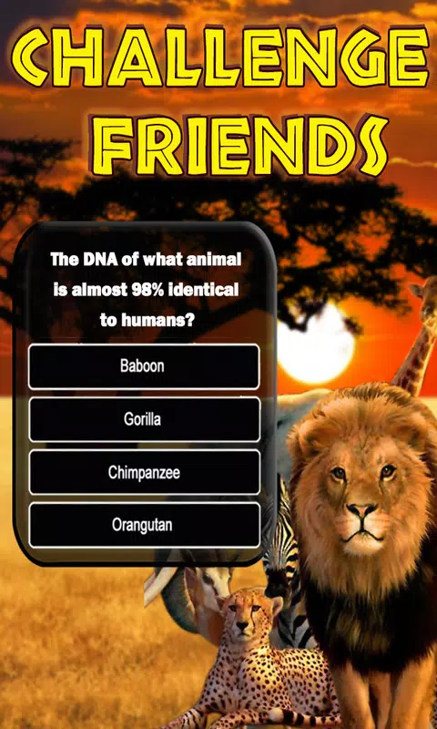 Animals Quiz スクリーンショット 3