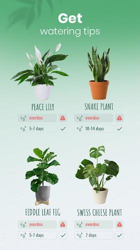 Blossom - Plant Identifier Tangkapan skrin 4