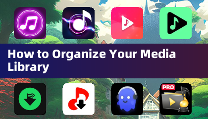 How to Organize Your Media Library